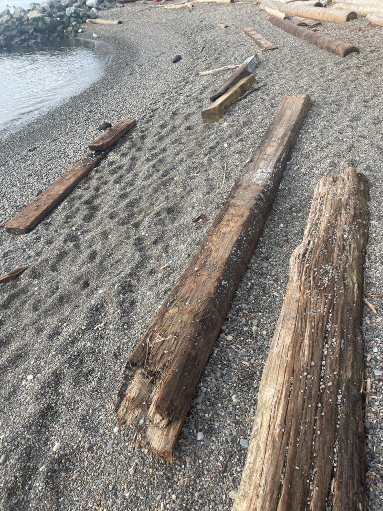 a group of wood planks on a beach (MyCoast AI)
