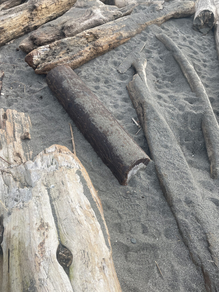 a group of wood pieces (MyCoast AI)