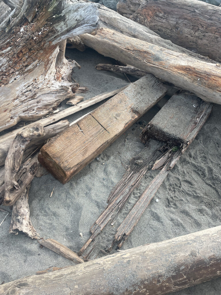 a group of logs (MyCoast AI)