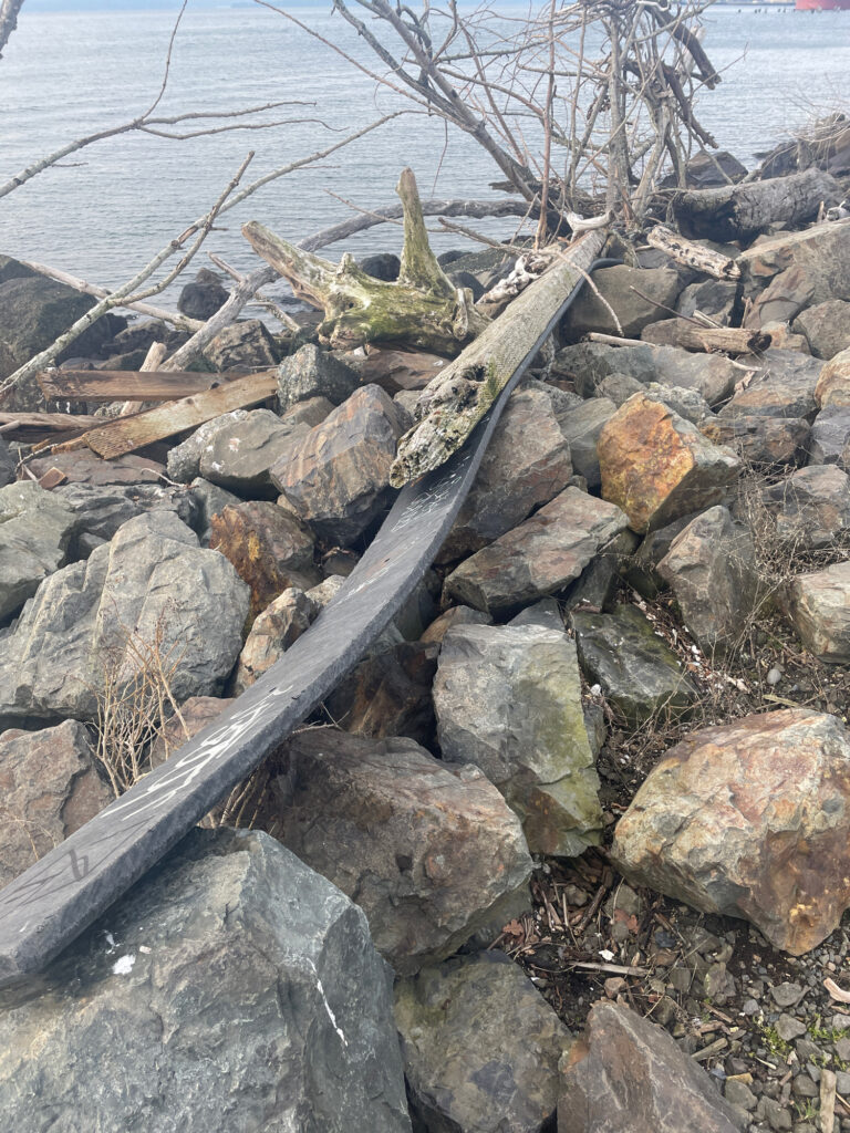 a log on a rocky beach (MyCoast AI)