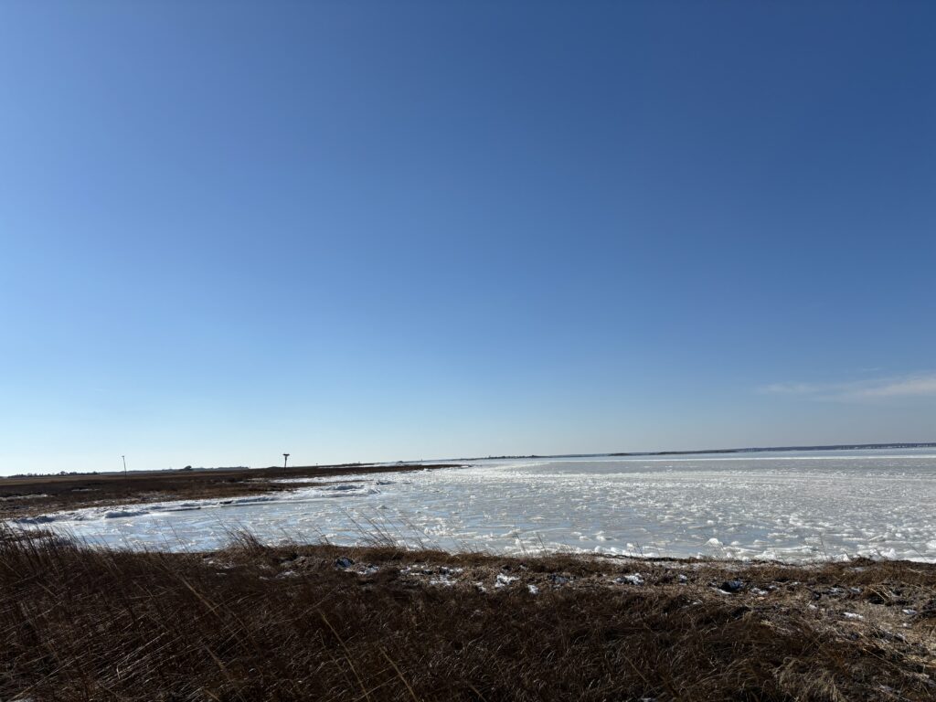 a beach with snow (MyCoast AI)