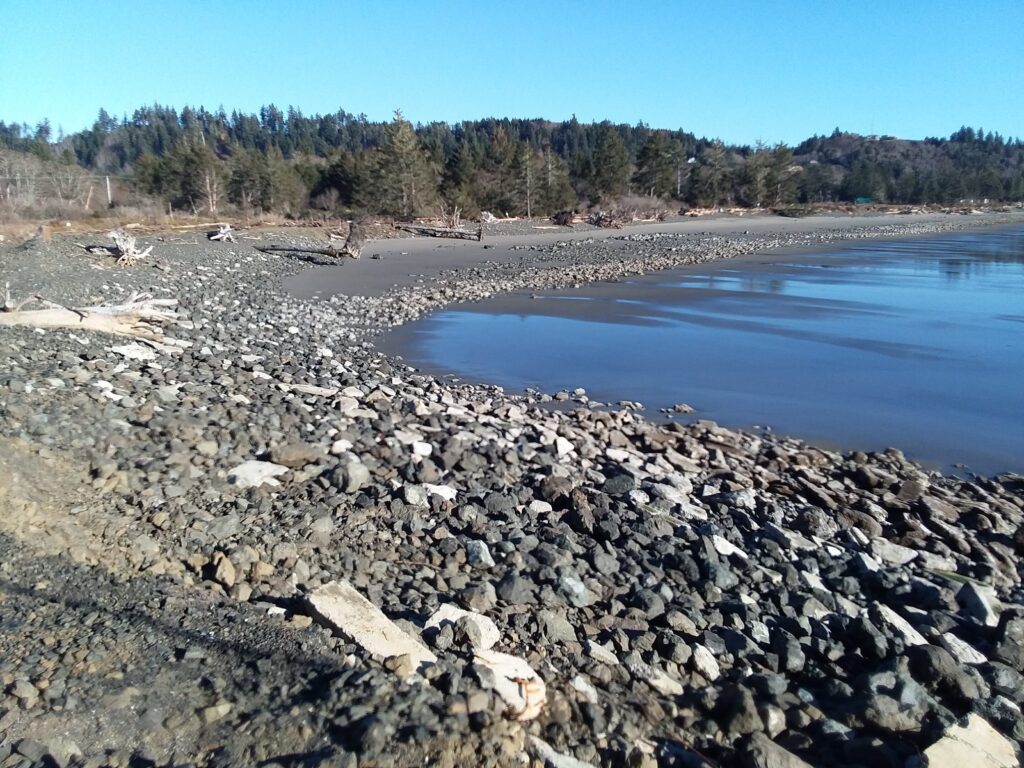 a rocky beach with a body of water and trees in the background (MyCoast AI)