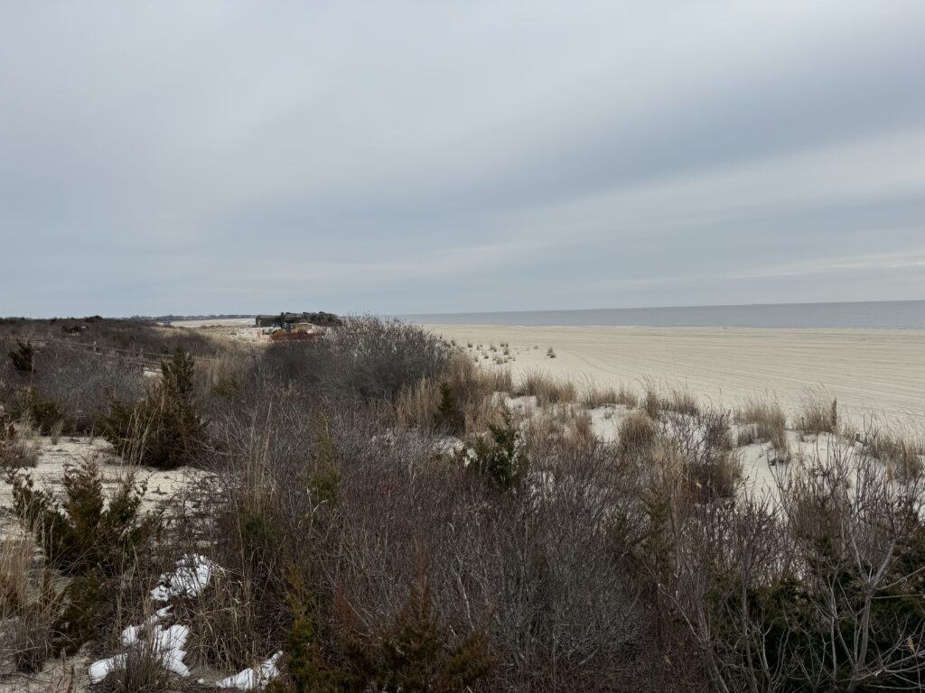 a landscape with snow and trees (MyCoast AI)