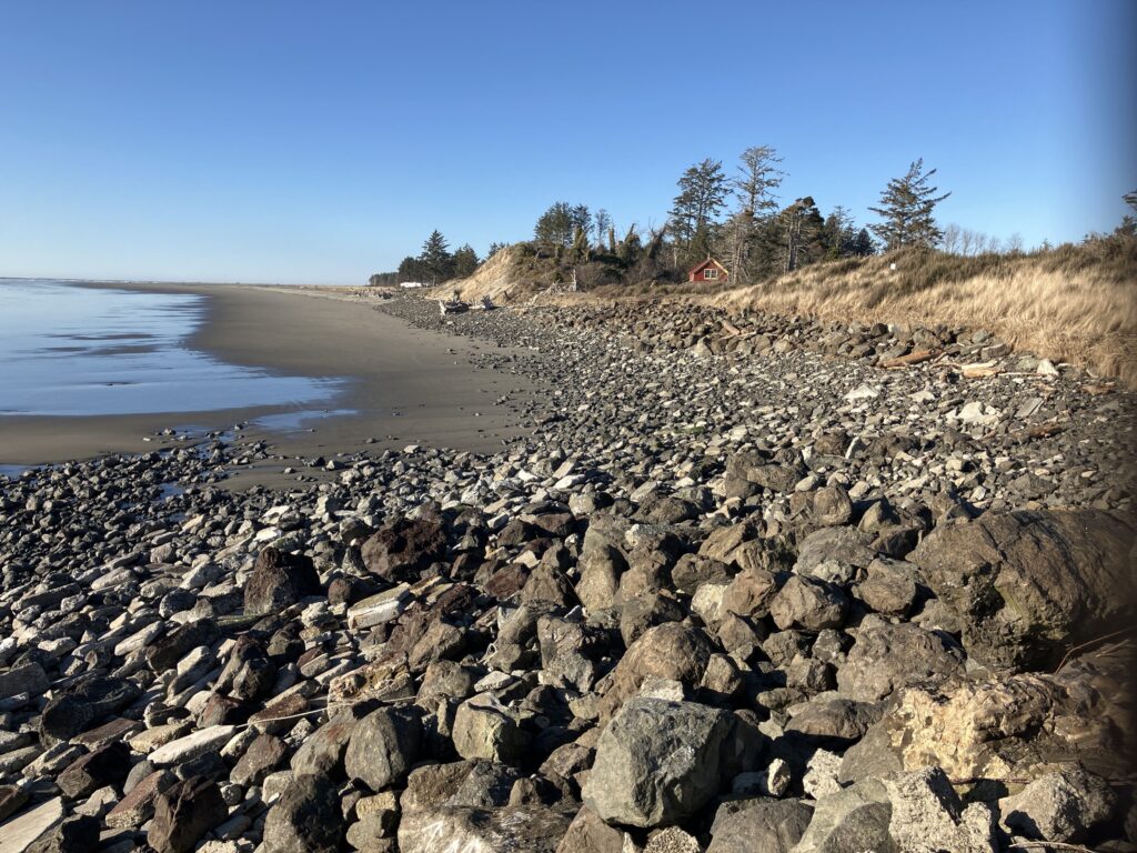 a rocky beach with trees and a body of water (MyCoast AI)