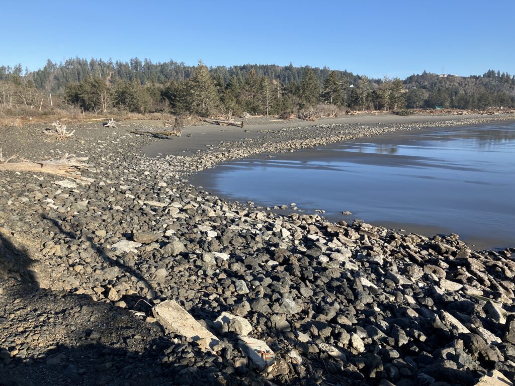 a rocky beach with trees in the background (MyCoast AI)