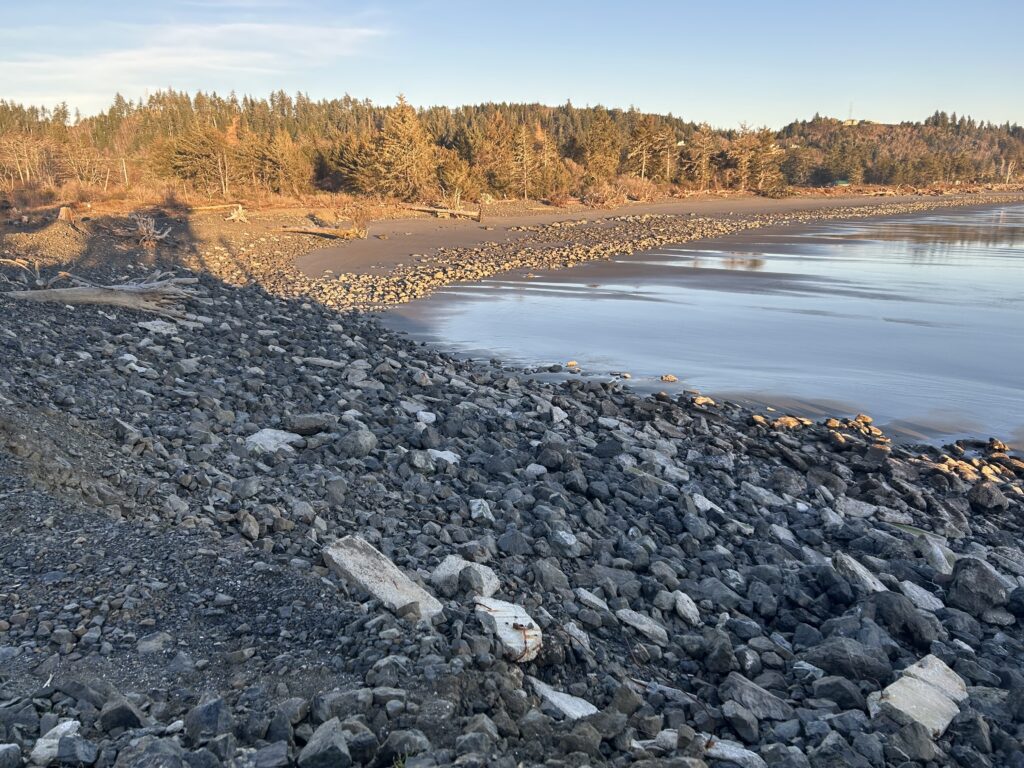 a rocky shore with a body of water and trees in the background (MyCoast AI)