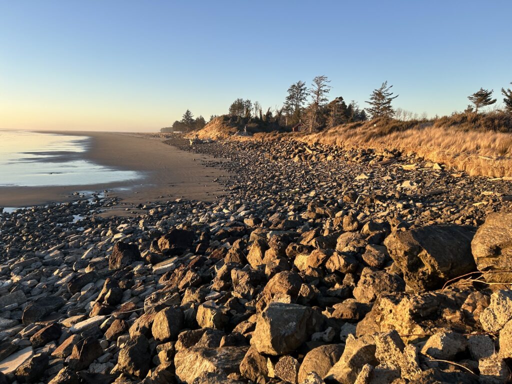 a rocky beach with trees and water (MyCoast AI)