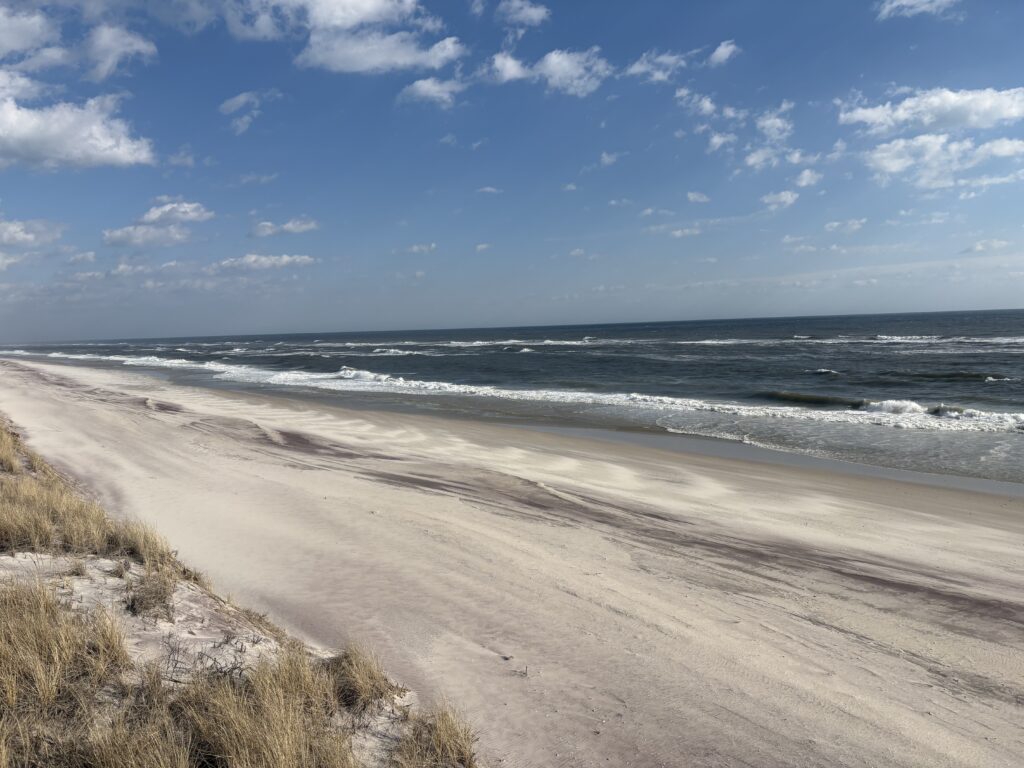 a sandy beach with waves crashing on it (MyCoast AI)