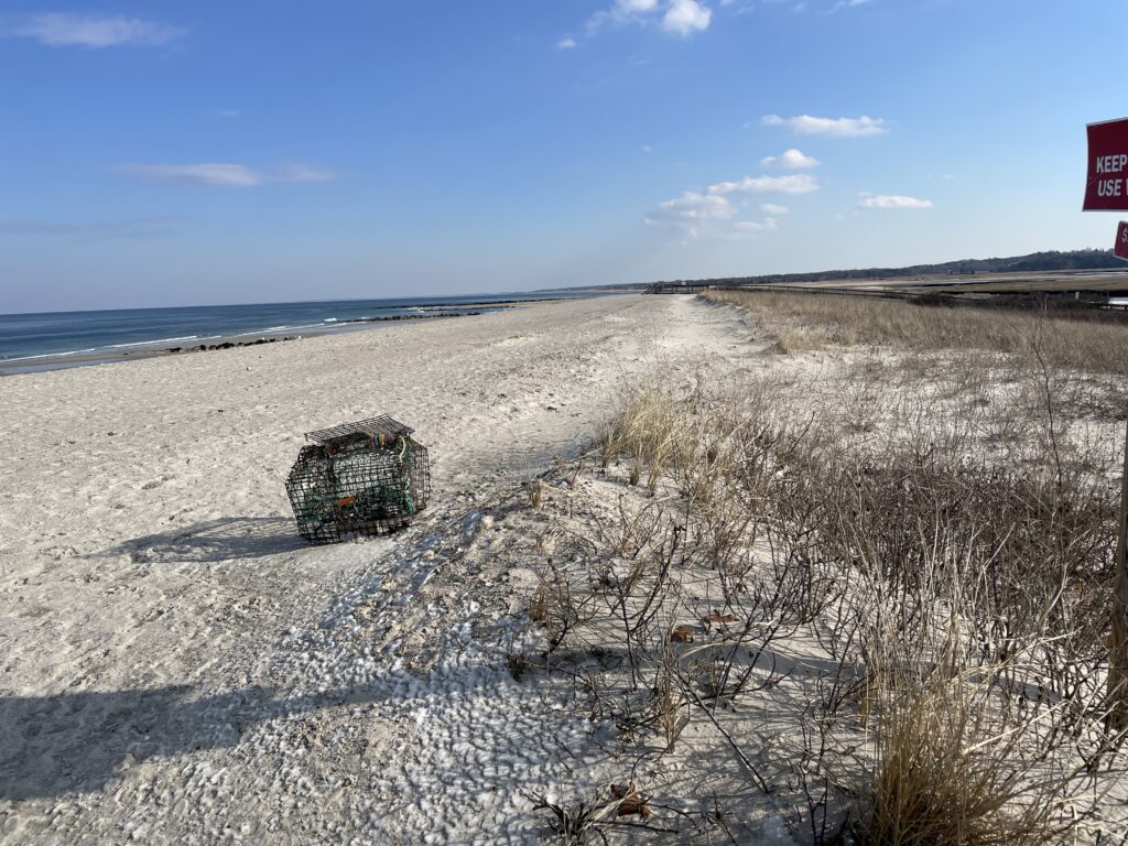 a sandy beach with bushes and trees (MyCoast AI)