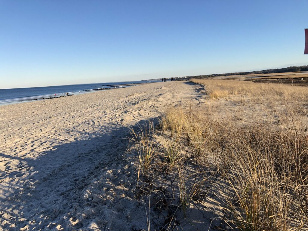 a sandy beach with grass and water (MyCoast AI)