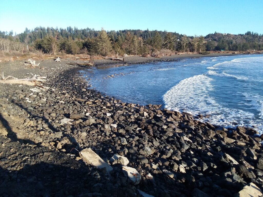 a rocky beach with a body of water and trees in the background (MyCoast AI)