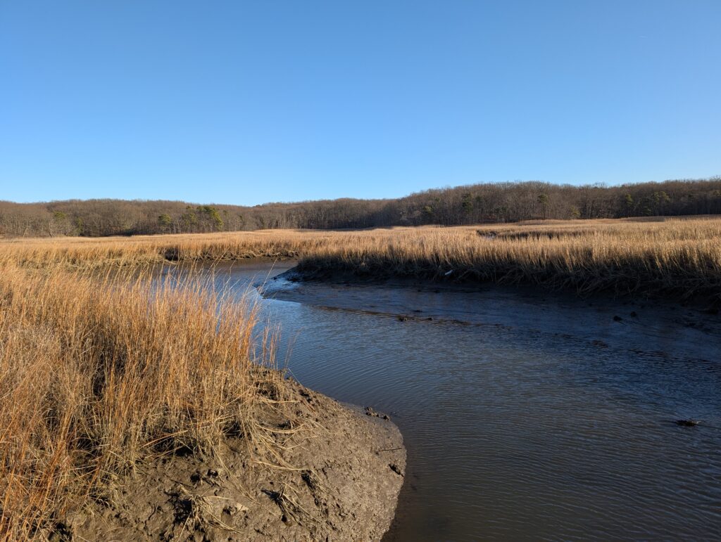 a body of water with grass and trees in the background (MyCoast AI)