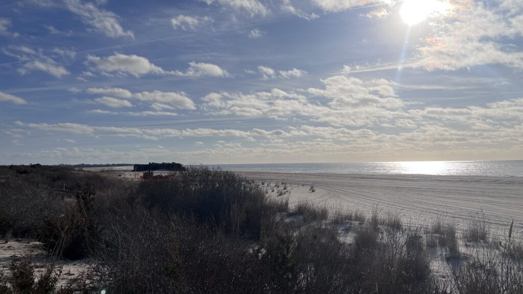 a beach with bushes and water (MyCoast AI)