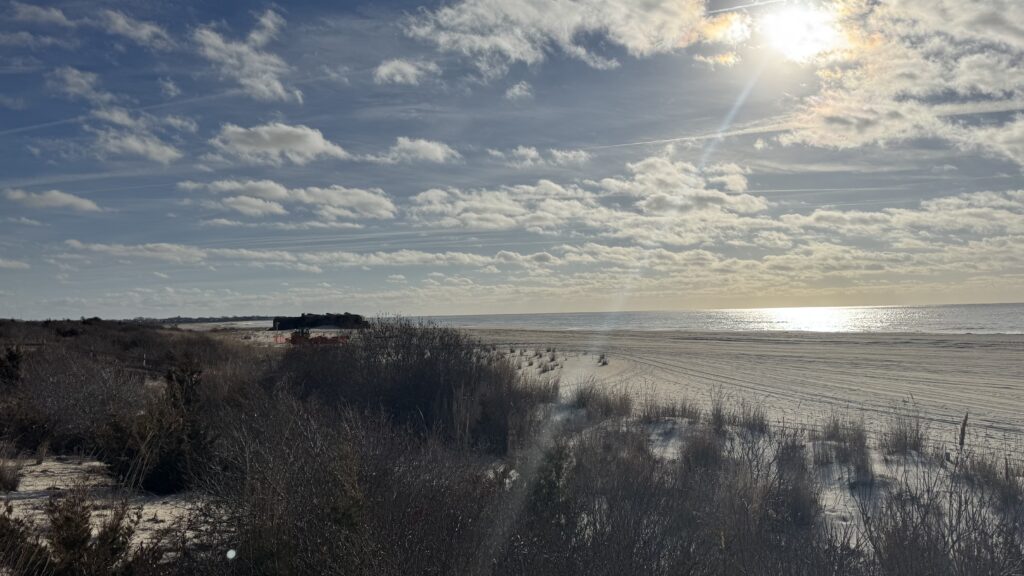 a beach with snow and trees (MyCoast AI)