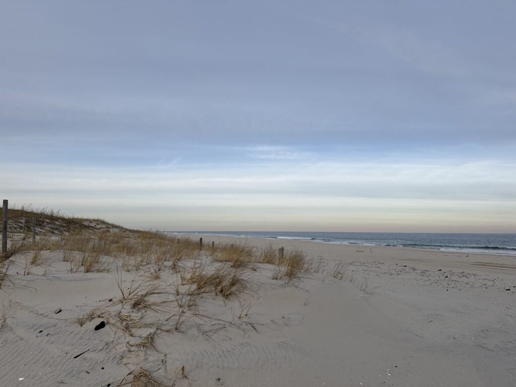 a sandy beach with bushes and water (MyCoast AI)