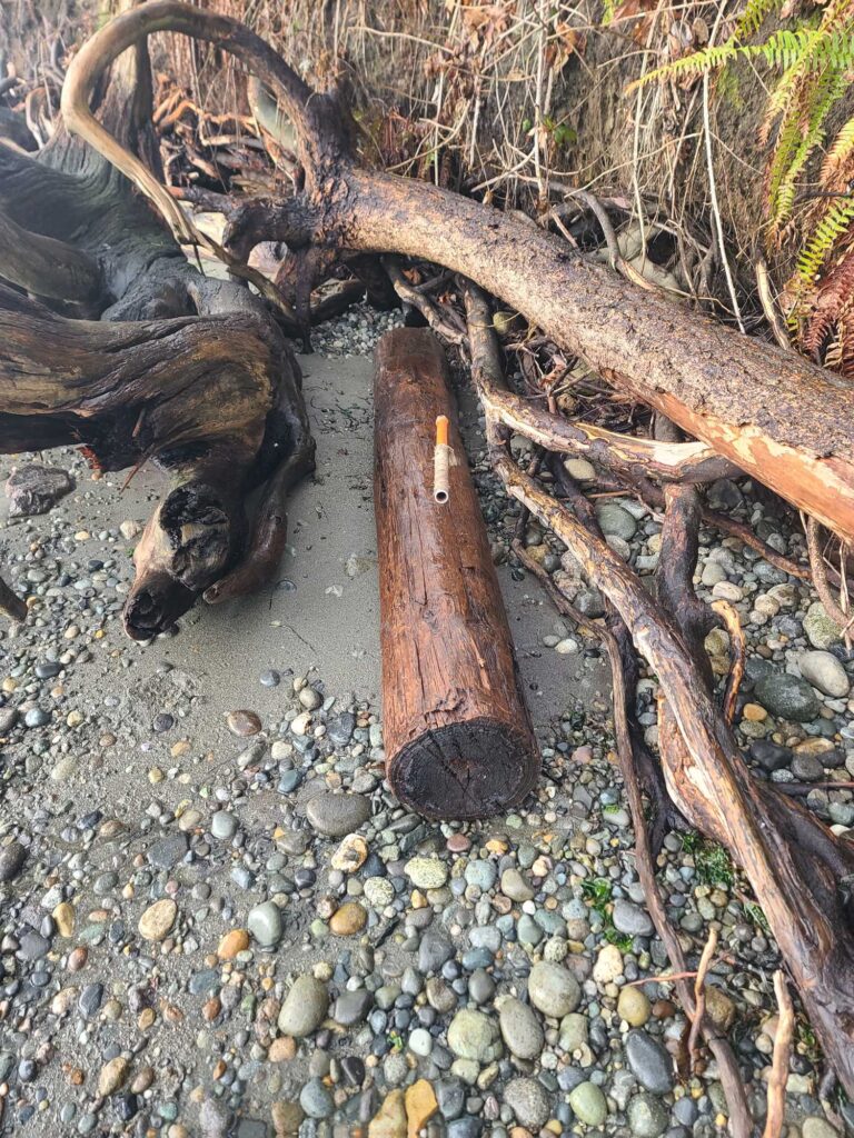 a log on the ground (MyCoast AI)