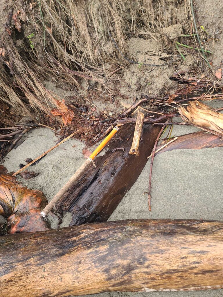 a yellow pipe in a hole in the ground (MyCoast AI)