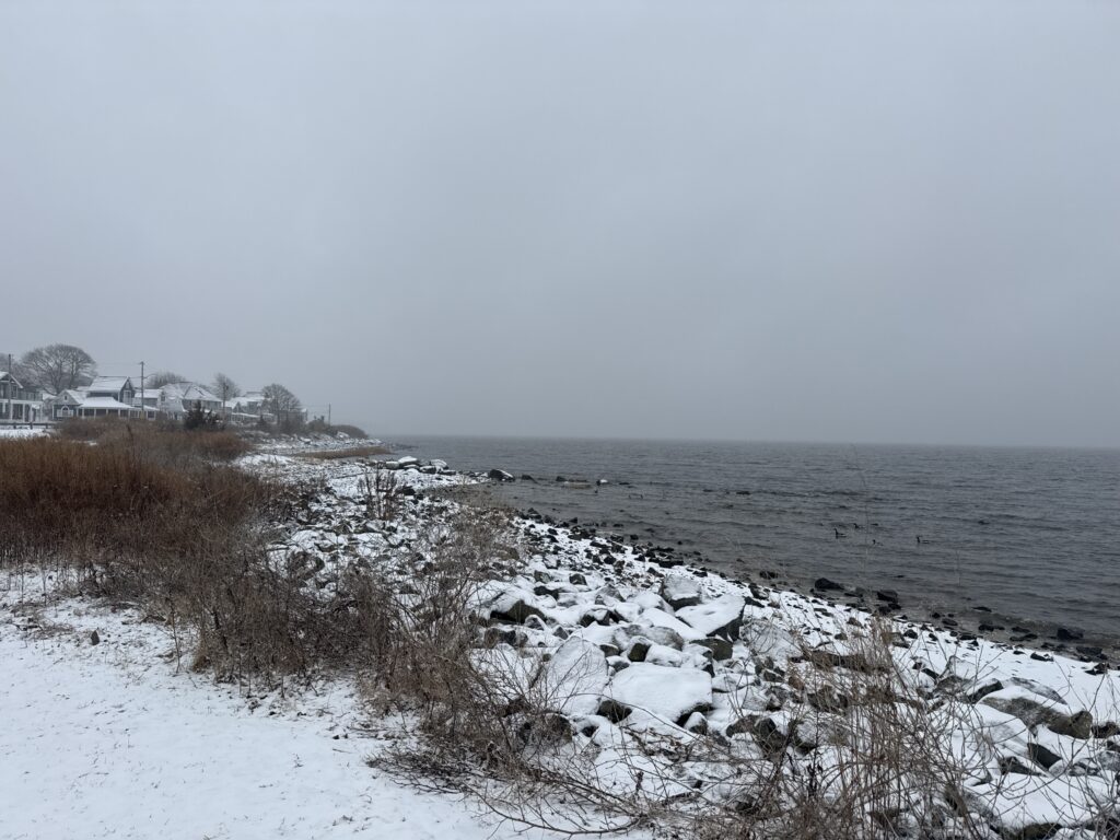 a snowy beach with bushes and a body of water (MyCoast AI)
