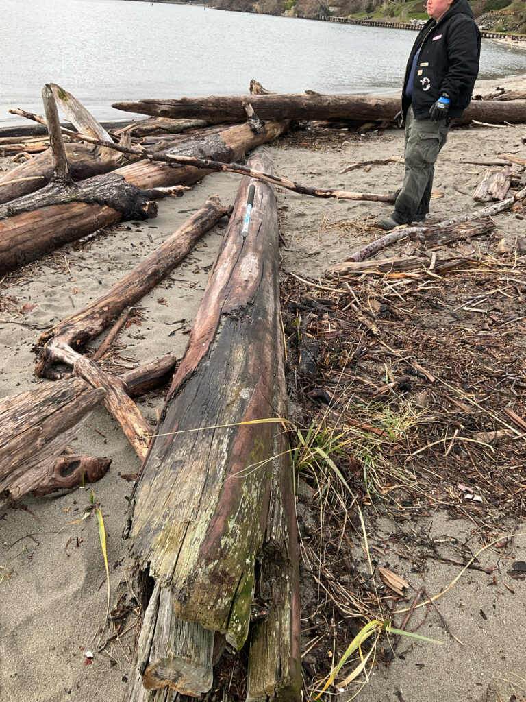 a person standing next to a pile of cut down trees (MyCoast AI)