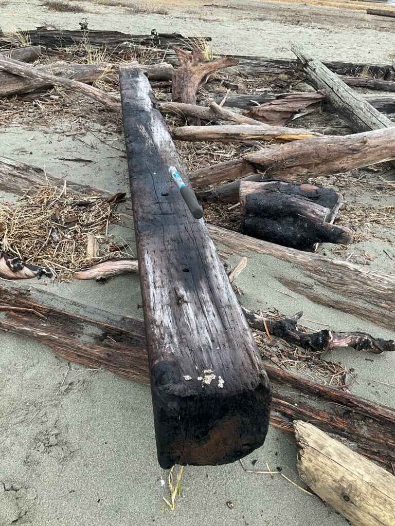 a piece of wood with a hammer on it (MyCoast AI)