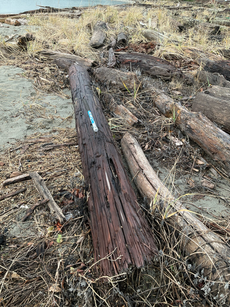 a pile of wood (MyCoast AI)