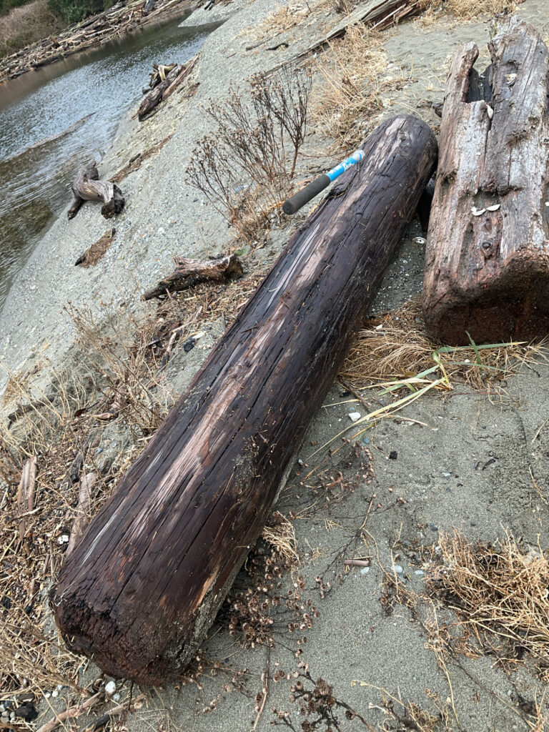 a pipe in the ground (MyCoast AI)
