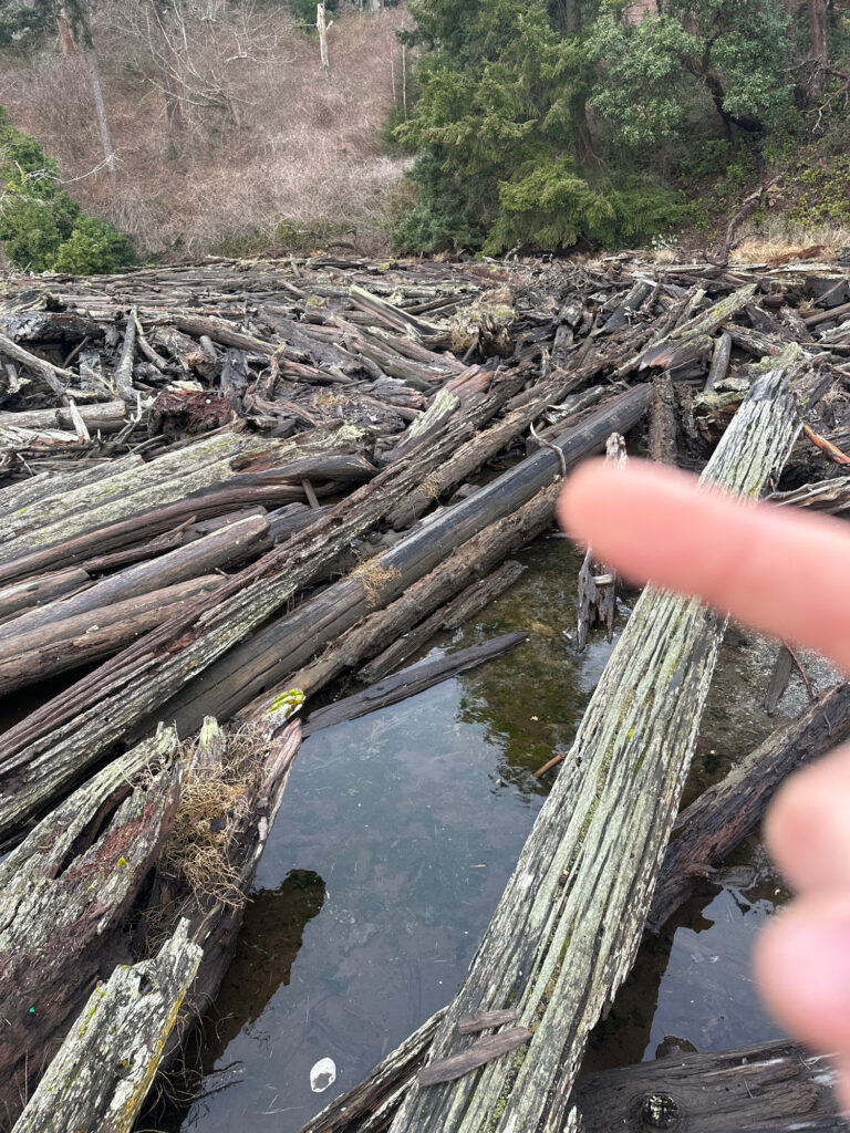 a hand holding a piece of wood over a stream of water (MyCoast AI)