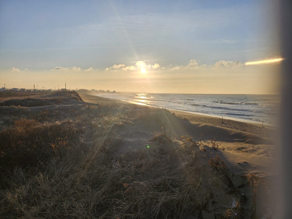 a beach with sand and grass (MyCoast AI)