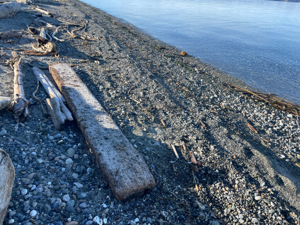 a bench sits on the shore of a lake (MyCoast AI)