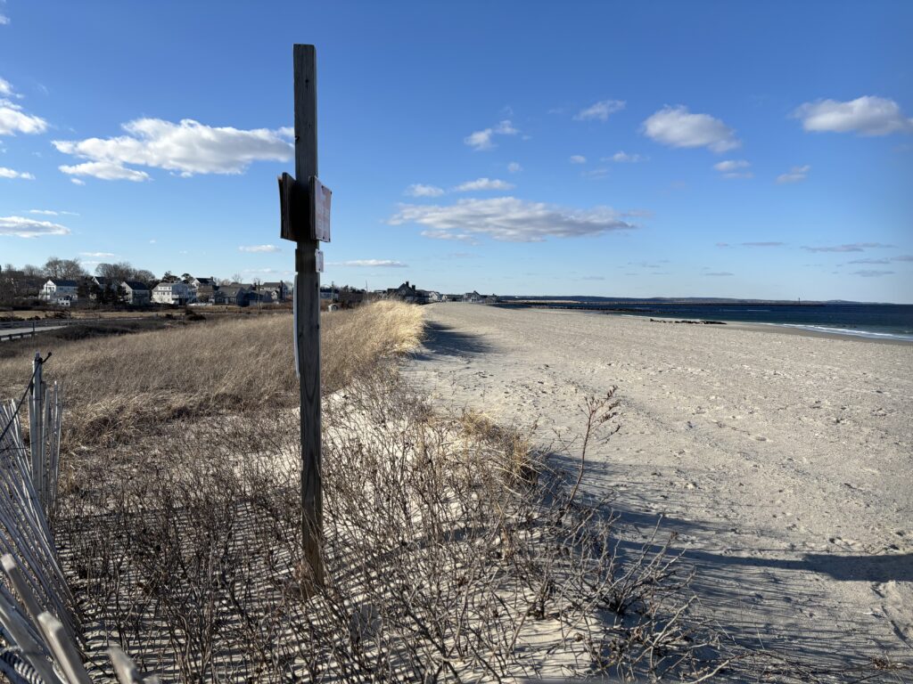 a sandy beach with a fence (MyCoast AI)