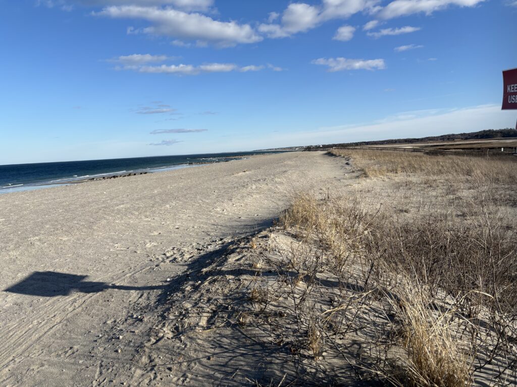 a sandy beach with grass and water (MyCoast AI)