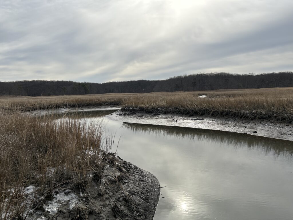 a lake with snow and trees (MyCoast AI)