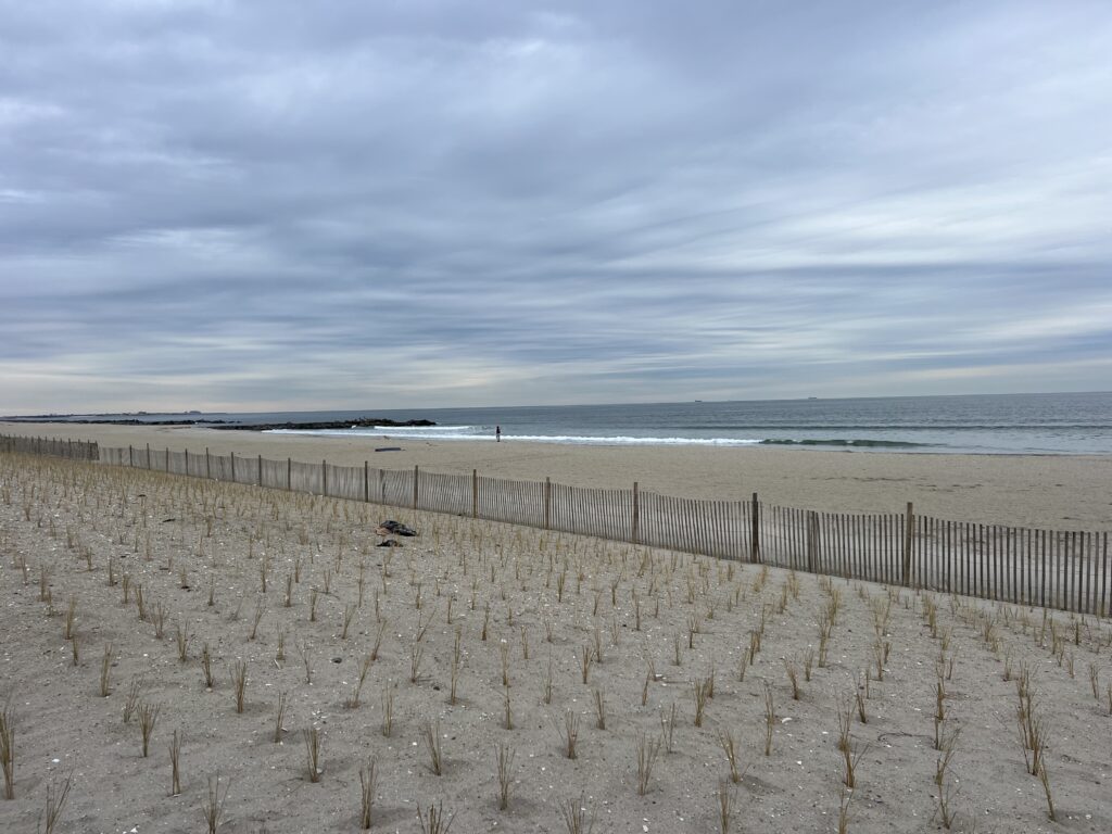 a beach with a fence and a body of water in the background (MyCoast AI)