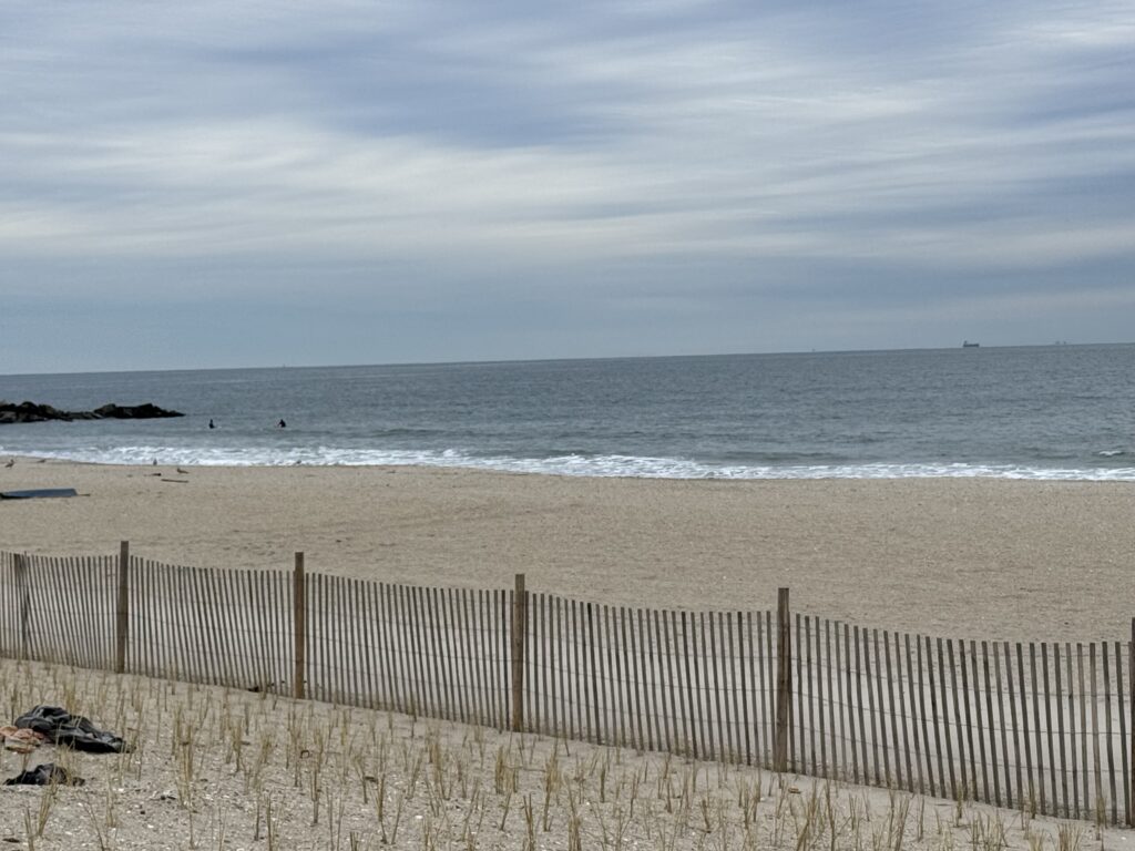 a beach with a fence and a body of water in the background (MyCoast AI)