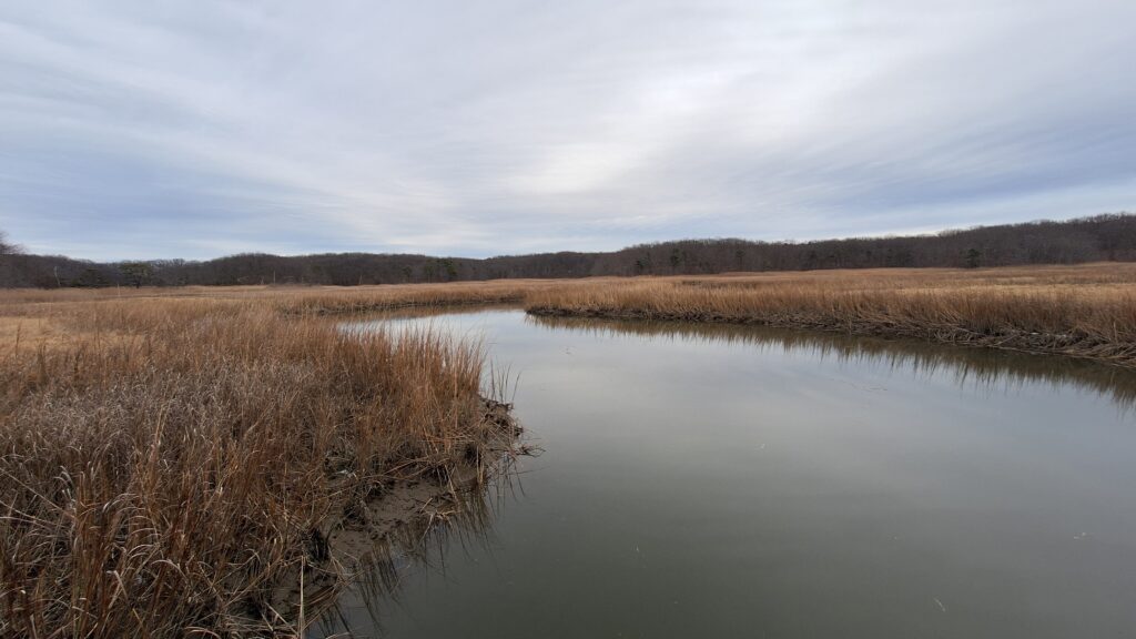 a body of water with grass and trees around it (MyCoast AI)