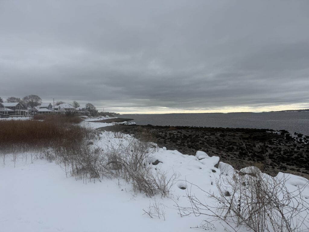 a snowy field with trees and buildings in the background (MyCoast AI)