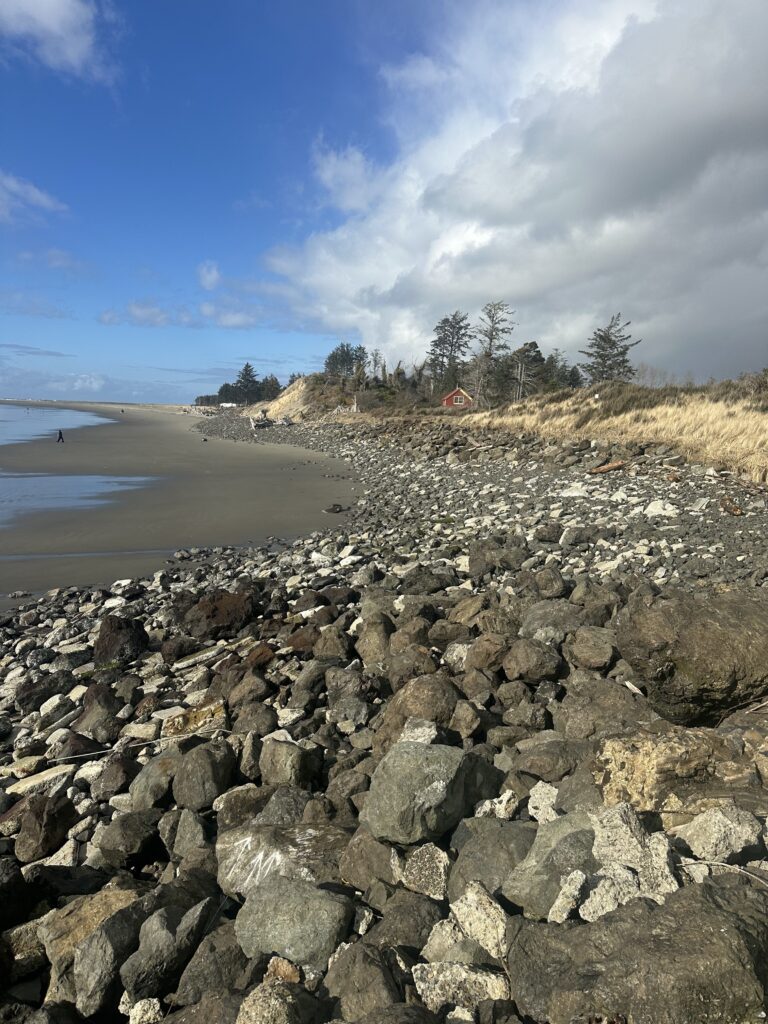 a rocky beach with a body of water and trees in the background (MyCoast AI)