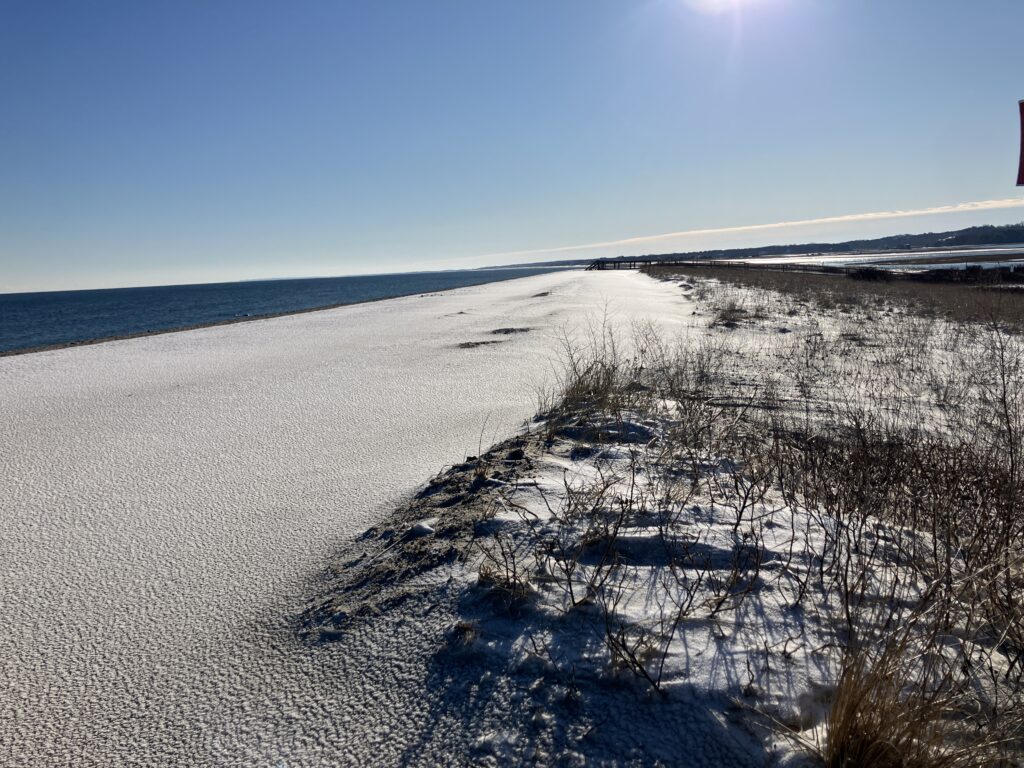 a snowy beach with trees (MyCoast AI)