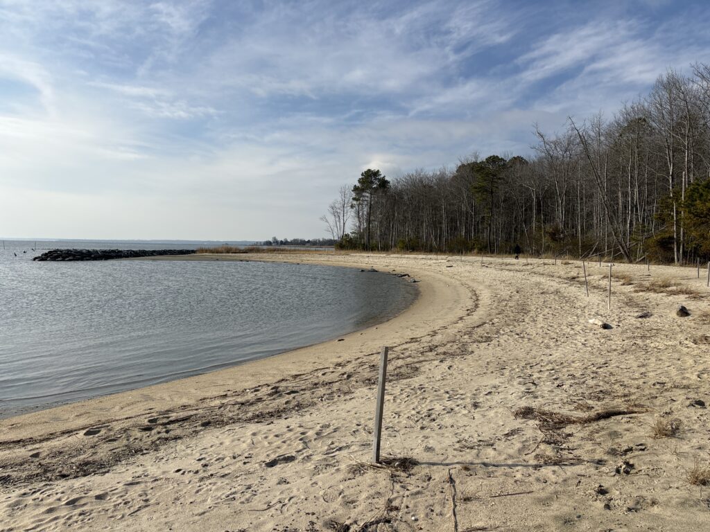 a sandy beach with trees and water (MyCoast AI)