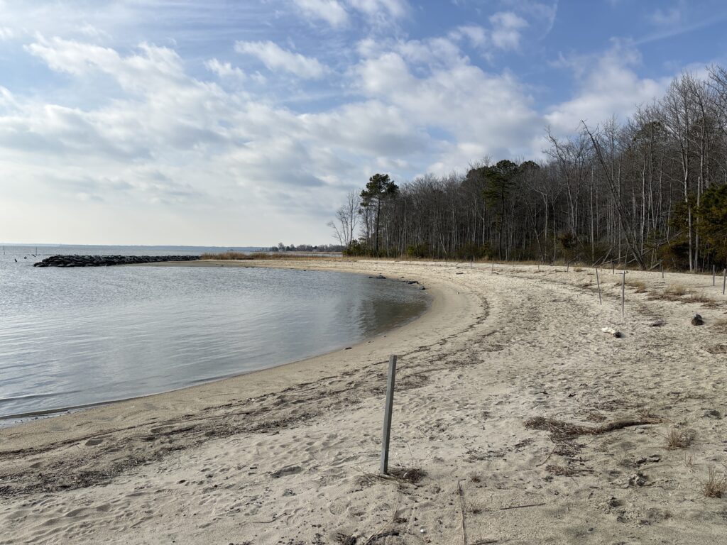 a beach with trees and water (MyCoast AI)
