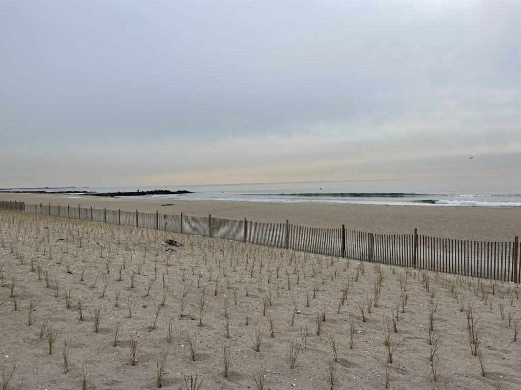 a beach with a fence (MyCoast AI)