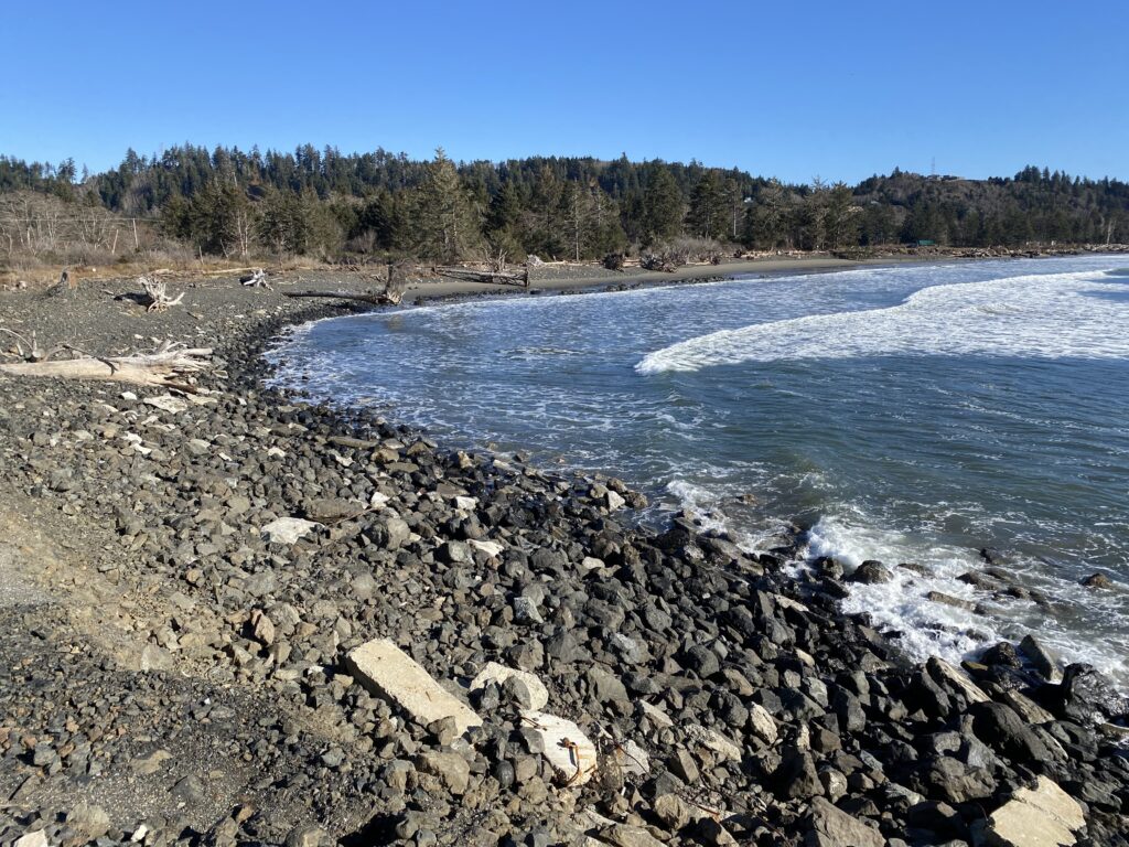 a rocky beach with trees in the background (MyCoast AI)