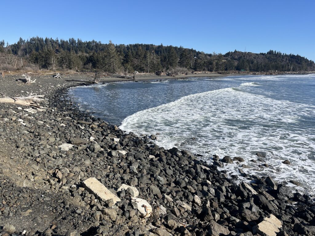 a rocky beach with trees in the background (MyCoast AI)