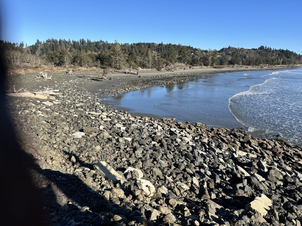 a rocky beach with a body of water and trees in the background (MyCoast AI)