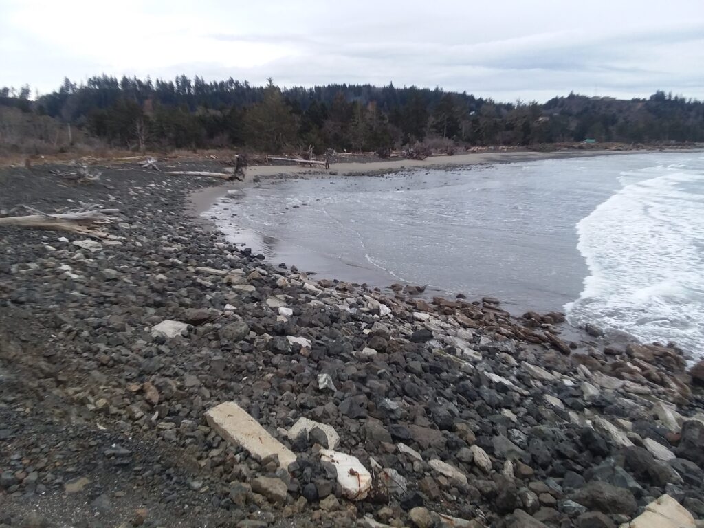 a rocky beach with a body of water and trees in the background (MyCoast AI)