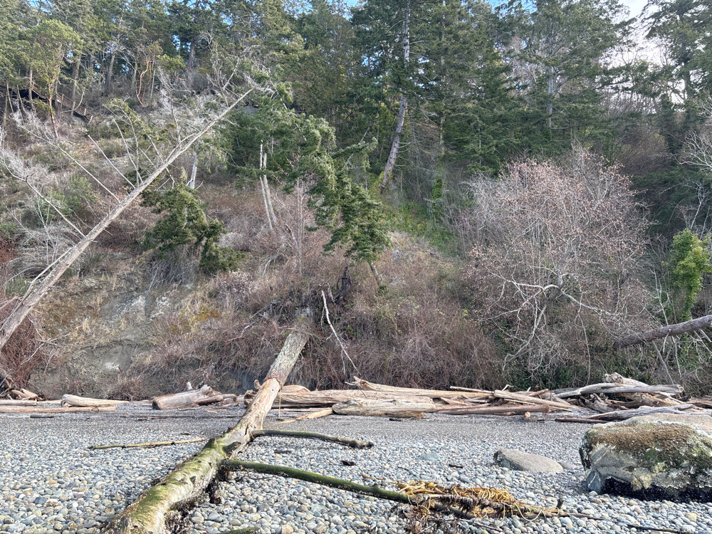 a river with trees and rocks (MyCoast AI)