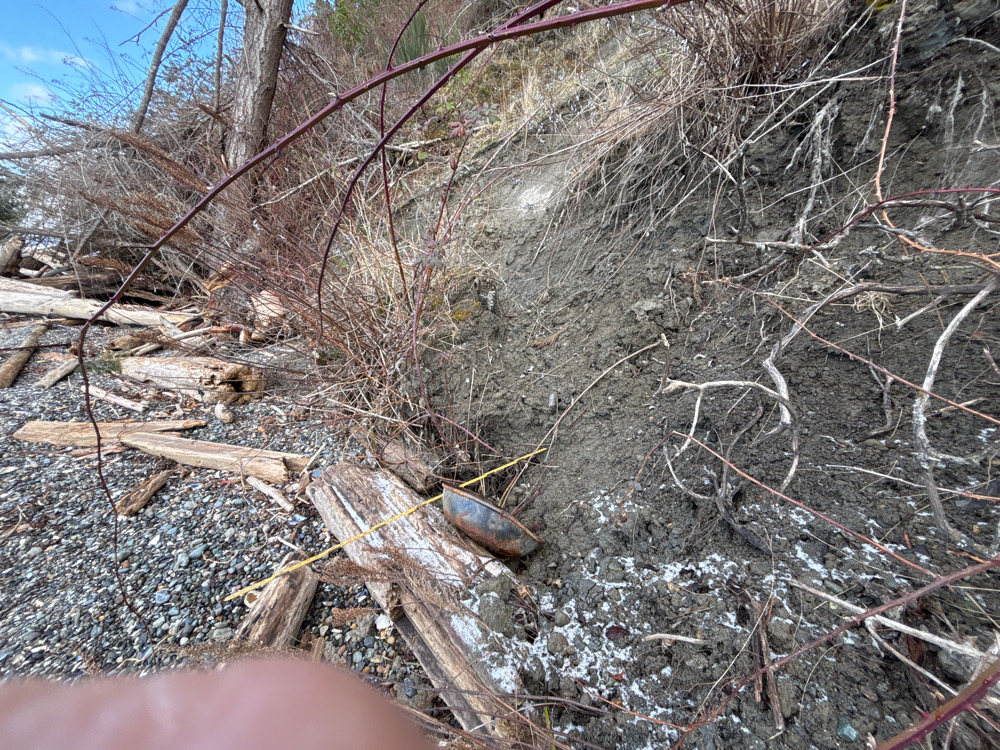 a person holding a shoe in a wooded area (MyCoast AI)