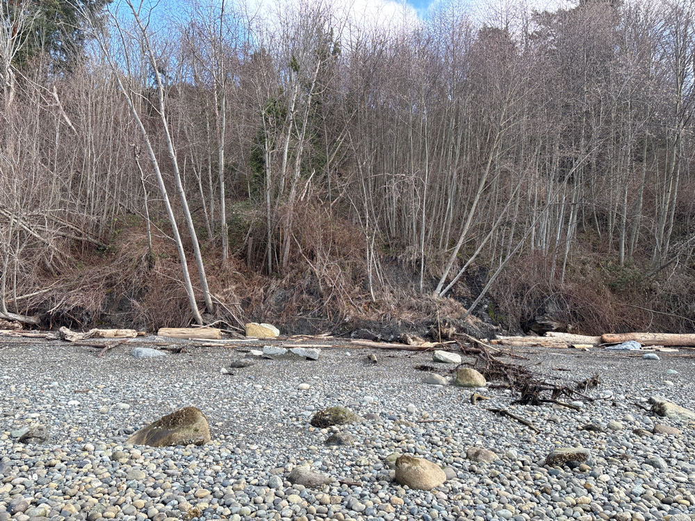 a river with rocks and trees (MyCoast AI)