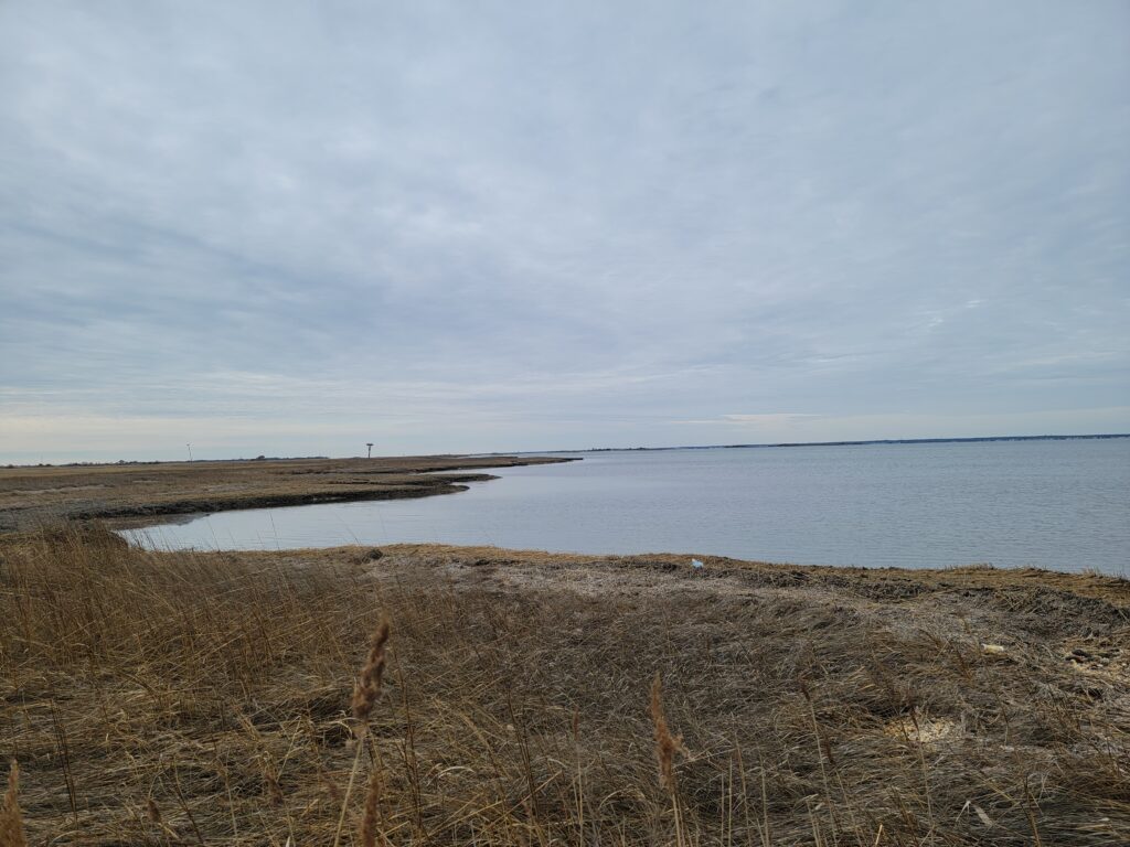 a beach with a body of water (MyCoast AI)