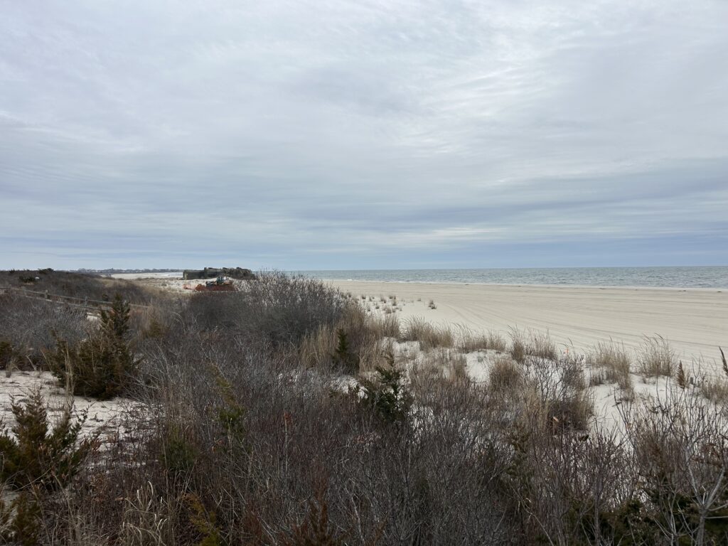 a sandy beach with bushes and trees (MyCoast AI)
